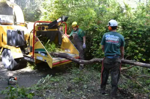 tree services Half Moon Bay